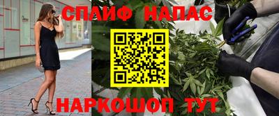 apvp Моздок