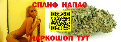 дмт Можга