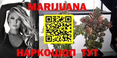 apvp Моздок