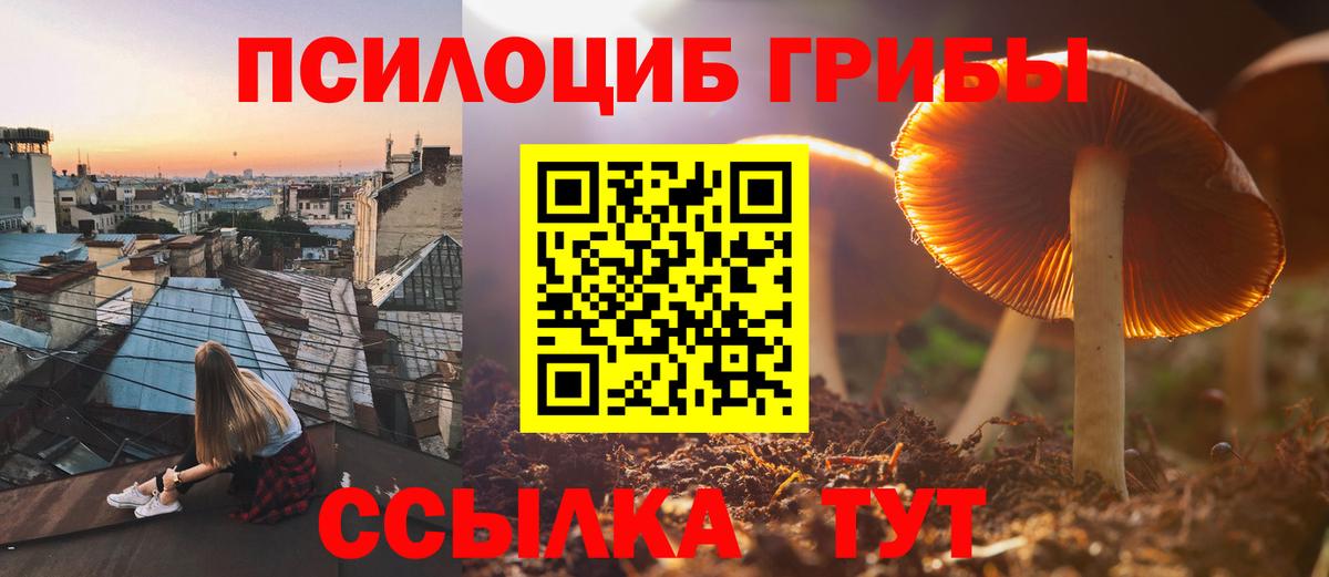 Псилоцибиновые грибы прущие грибы  Вход с VPN  Чапаевск 